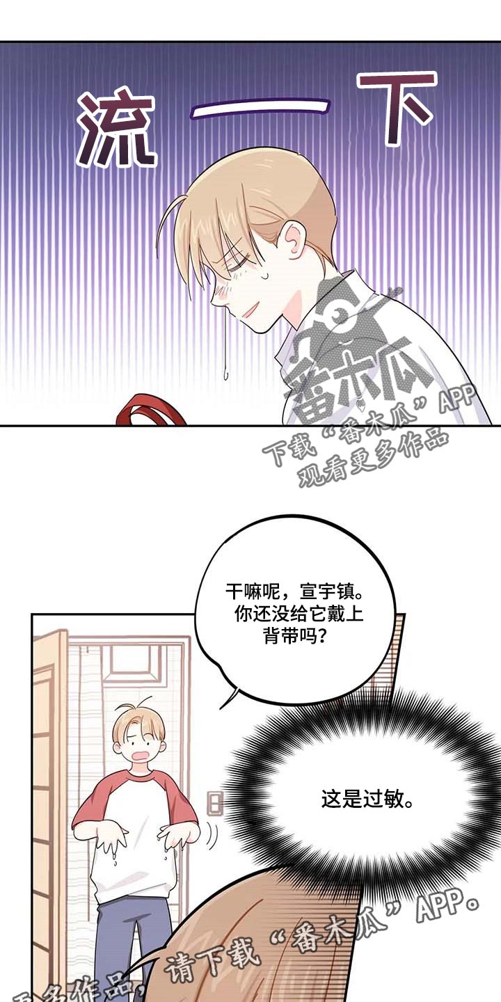 《校园之星》漫画最新章节第43章：百分百过敏免费下拉式在线观看章节第【2】张图片