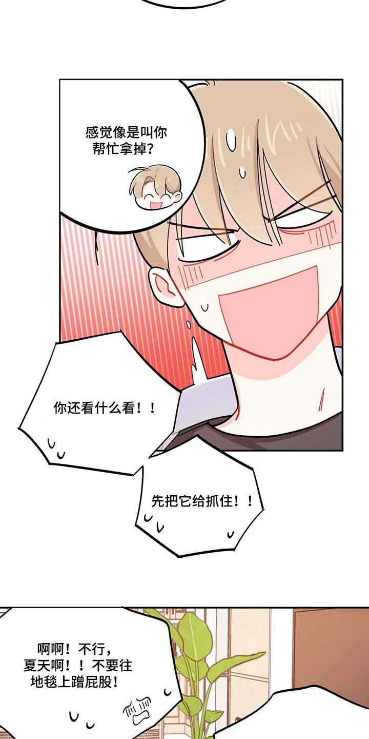 《校园之星》漫画最新章节第43章：百分百过敏免费下拉式在线观看章节第【5】张图片