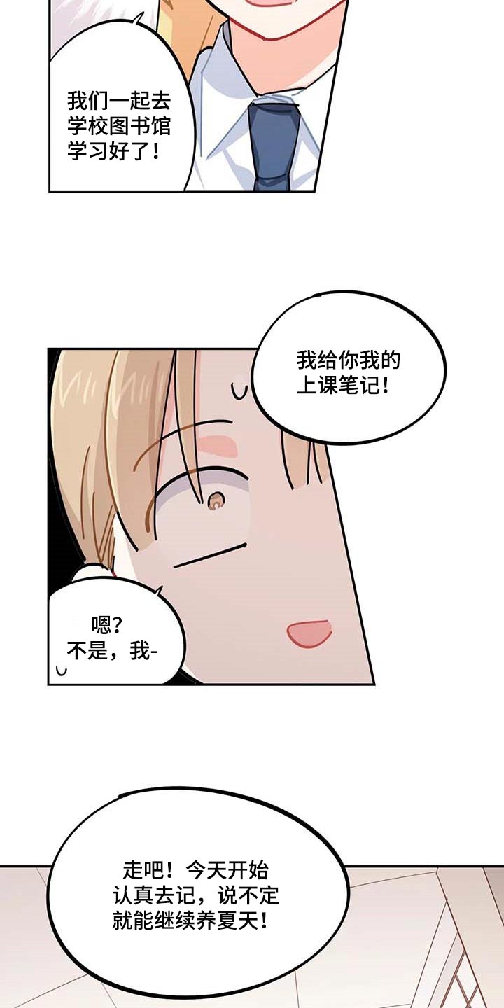 《校园之星》漫画最新章节第44章：一起学习免费下拉式在线观看章节第【5】张图片