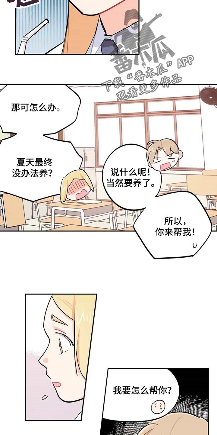 《校园之星》漫画最新章节第44章：一起学习免费下拉式在线观看章节第【9】张图片