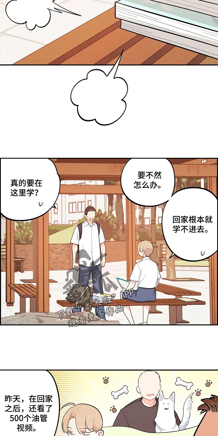 《校园之星》漫画最新章节第47章：分数能有什么用免费下拉式在线观看章节第【9】张图片