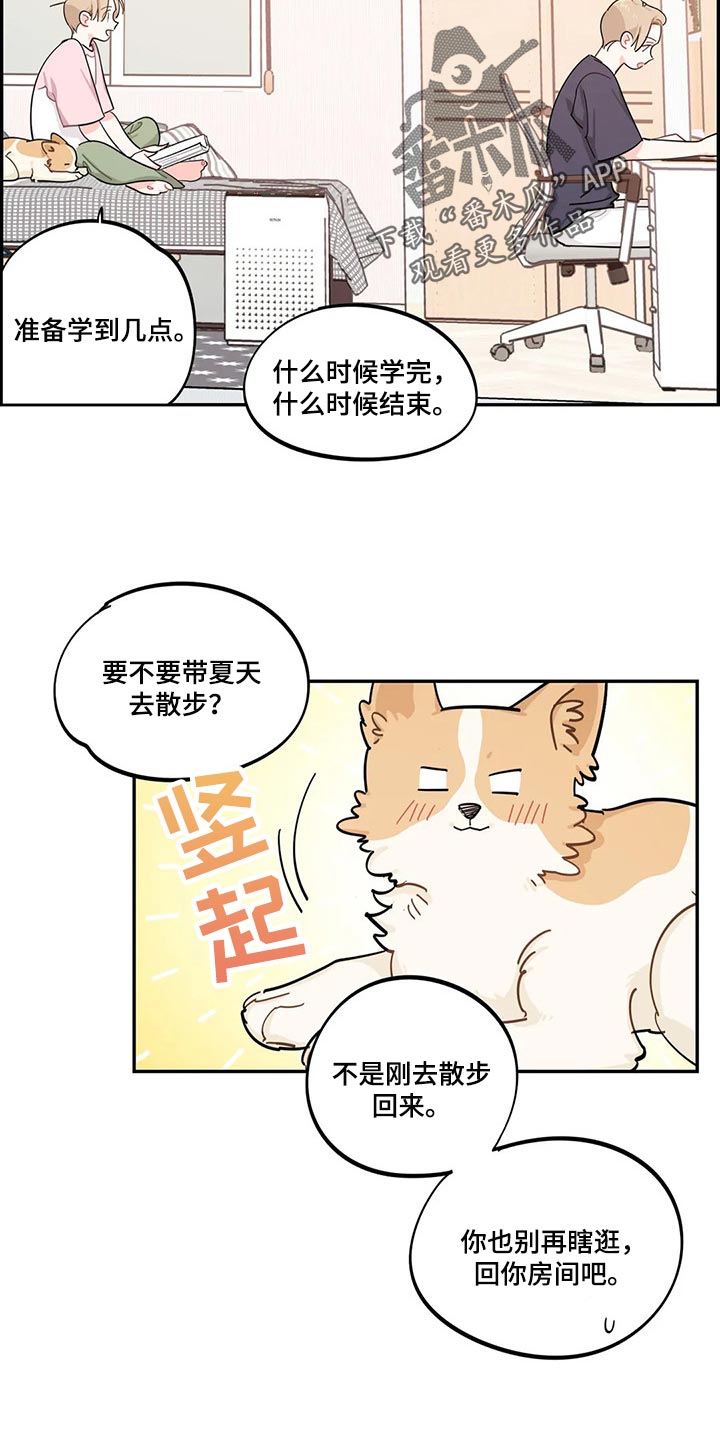 《校园之星》漫画最新章节第48章：努力学习不就好了免费下拉式在线观看章节第【7】张图片