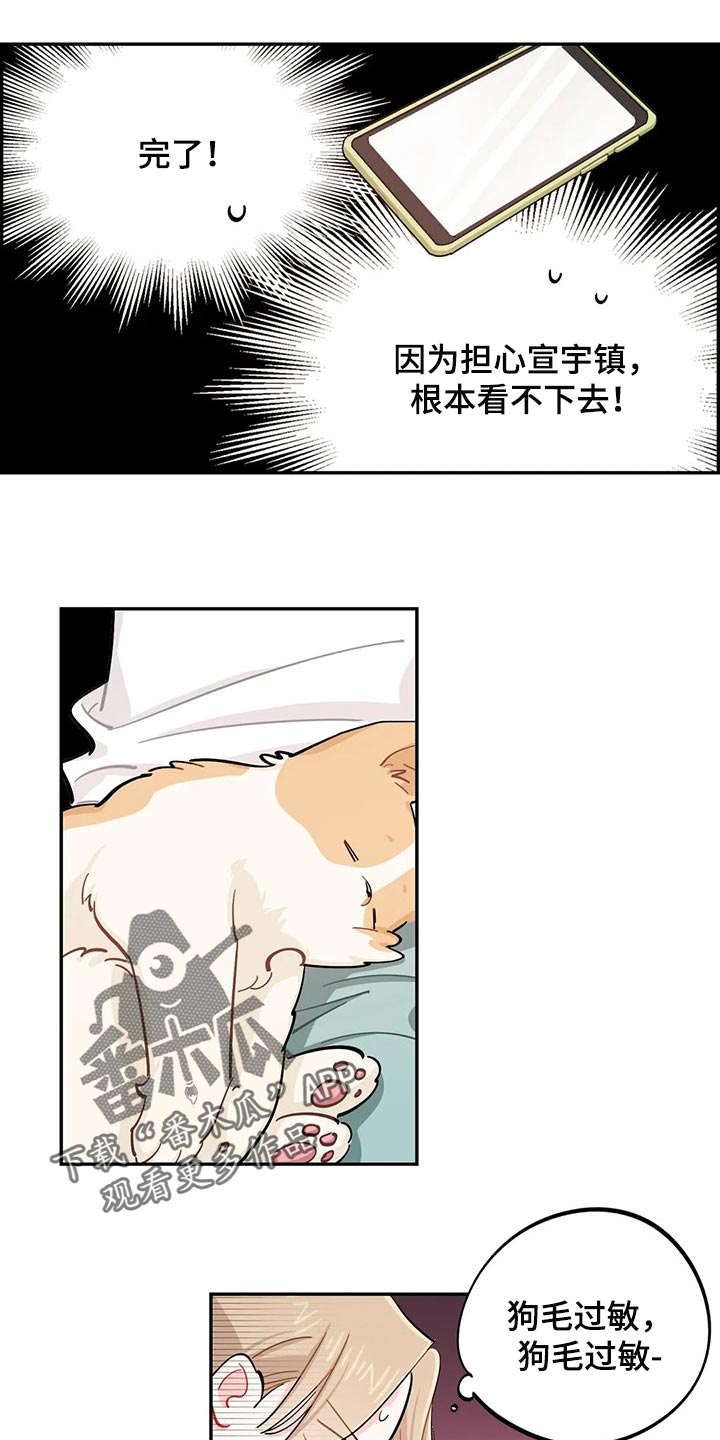 《校园之星》漫画最新章节第51章：狗毛过敏免费下拉式在线观看章节第【4】张图片