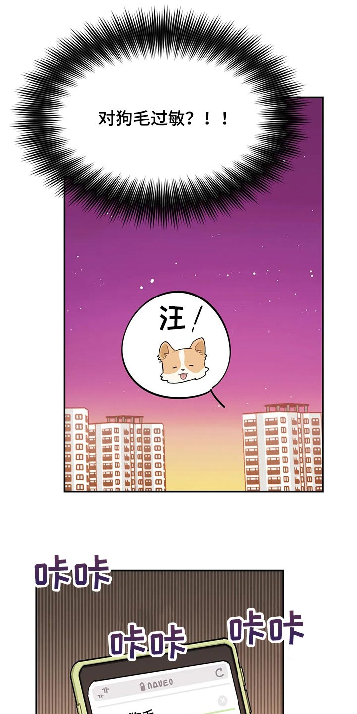 《校园之星》漫画最新章节第51章：狗毛过敏免费下拉式在线观看章节第【13】张图片