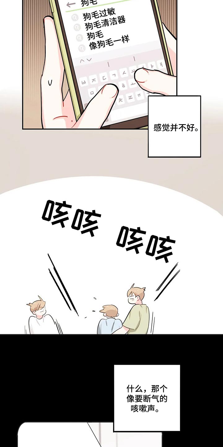 《校园之星》漫画最新章节第51章：狗毛过敏免费下拉式在线观看章节第【12】张图片