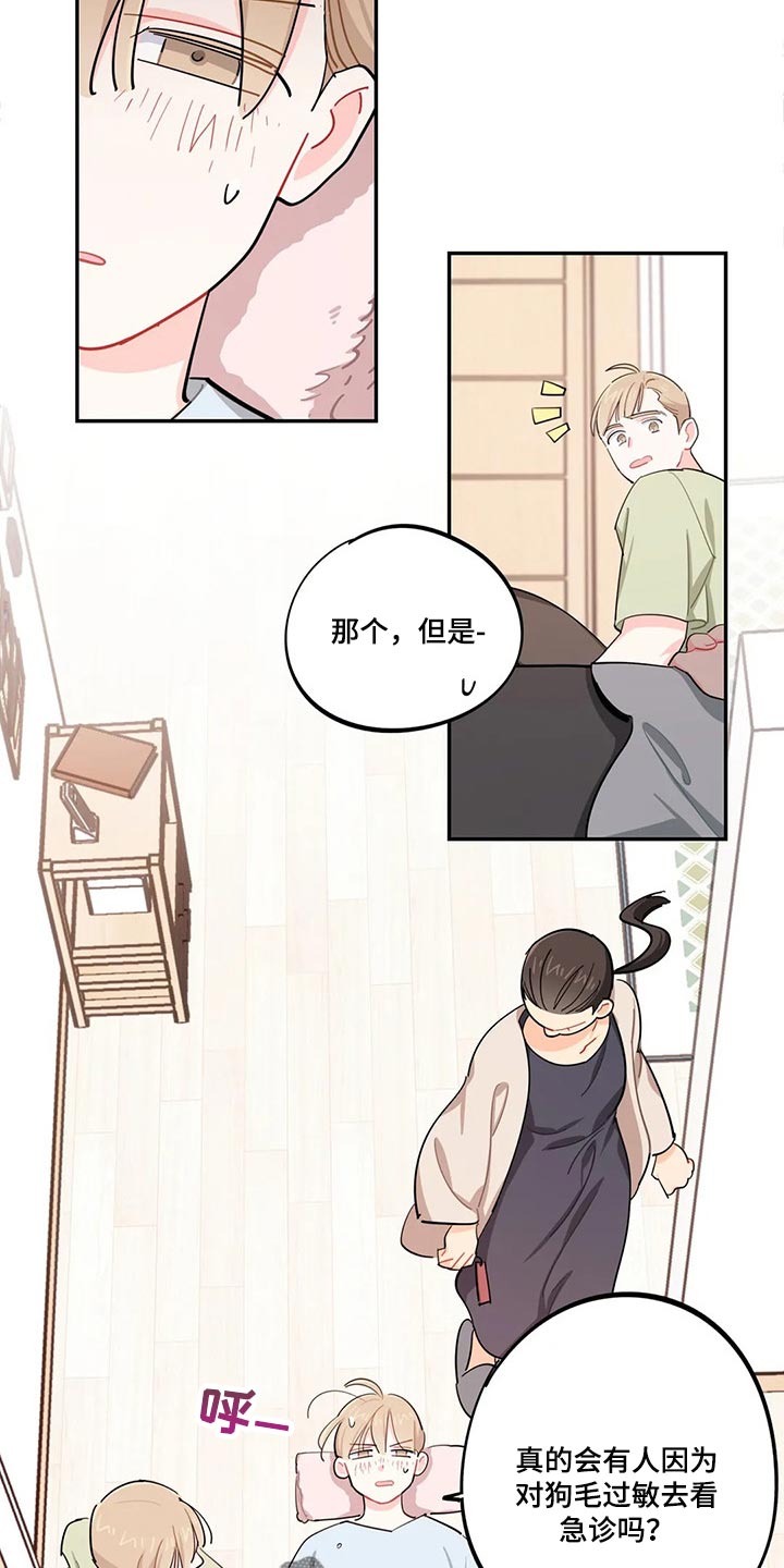 《校园之星》漫画最新章节第51章：狗毛过敏免费下拉式在线观看章节第【15】张图片