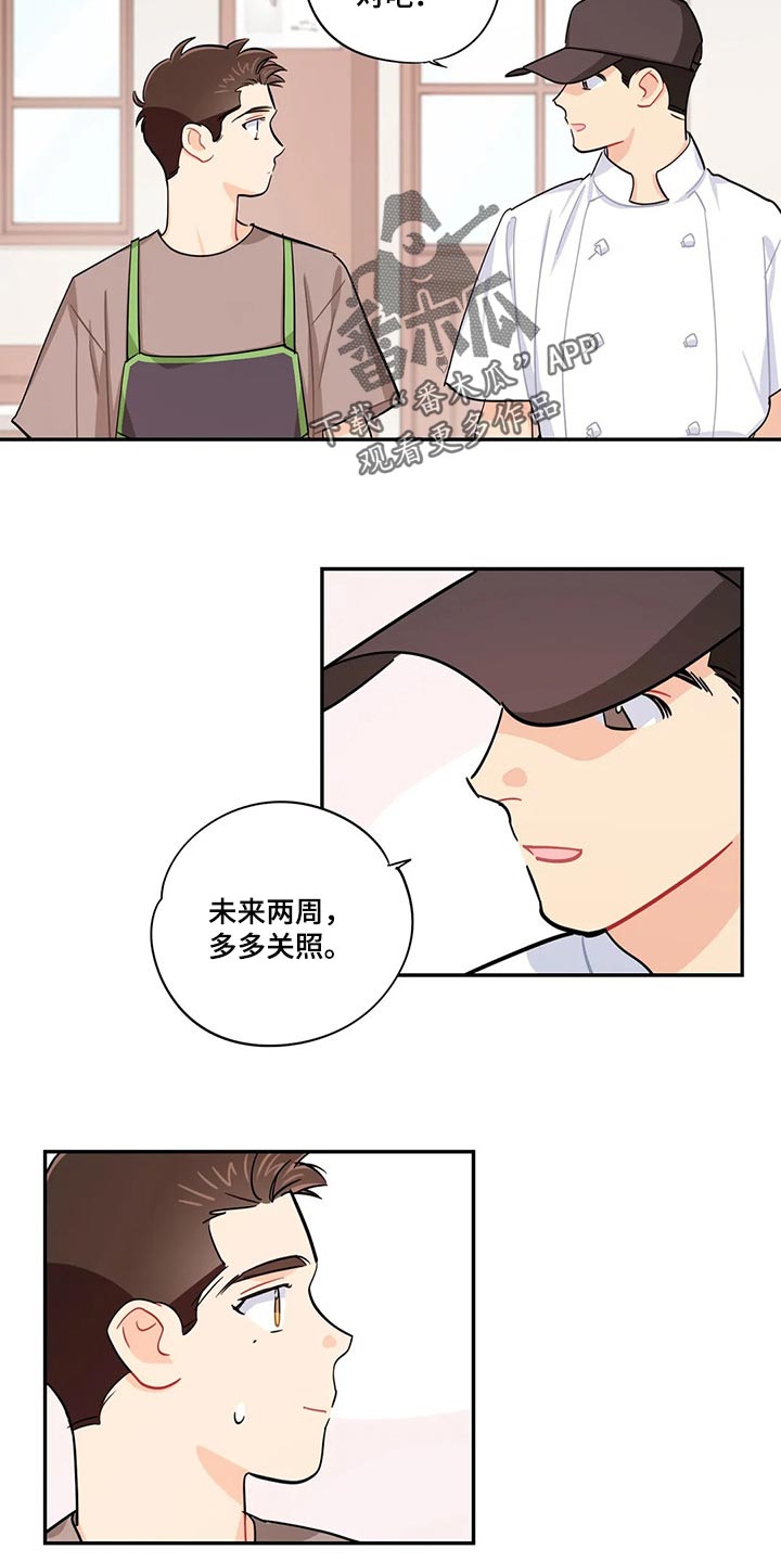 《校园之星》漫画最新章节第66章：录取免费下拉式在线观看章节第【2】张图片