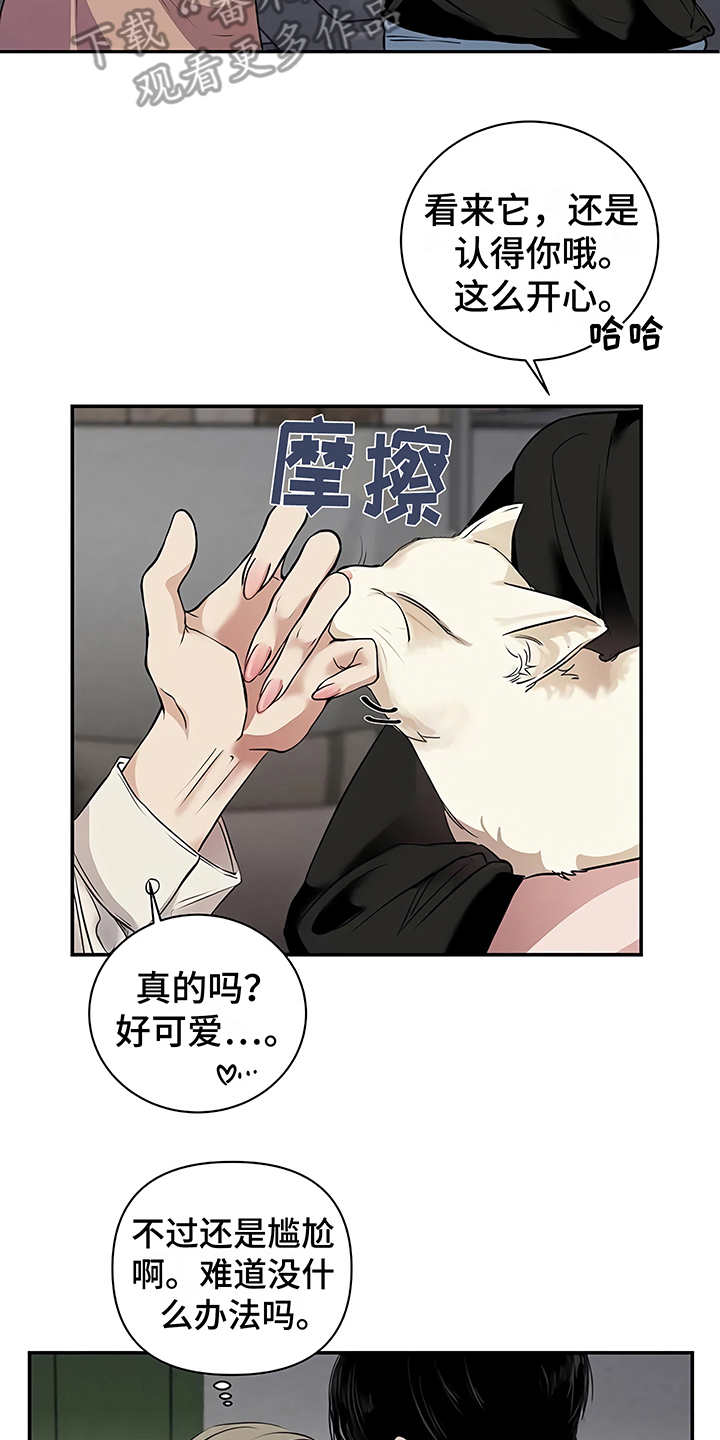 《毒蛇缠咬》漫画最新章节第21章：很顺利免费下拉式在线观看章节第【5】张图片