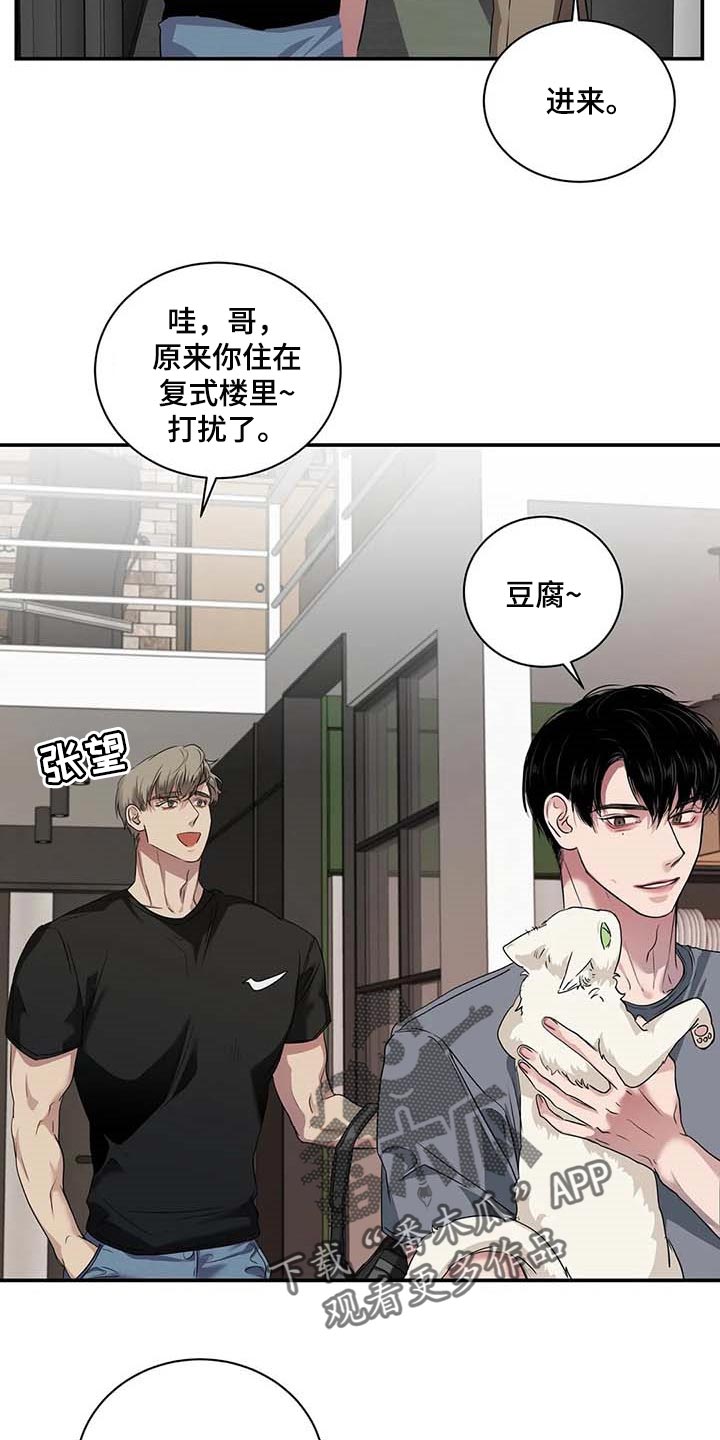 《毒蛇缠咬》漫画最新章节第38章：好机会免费下拉式在线观看章节第【17】张图片