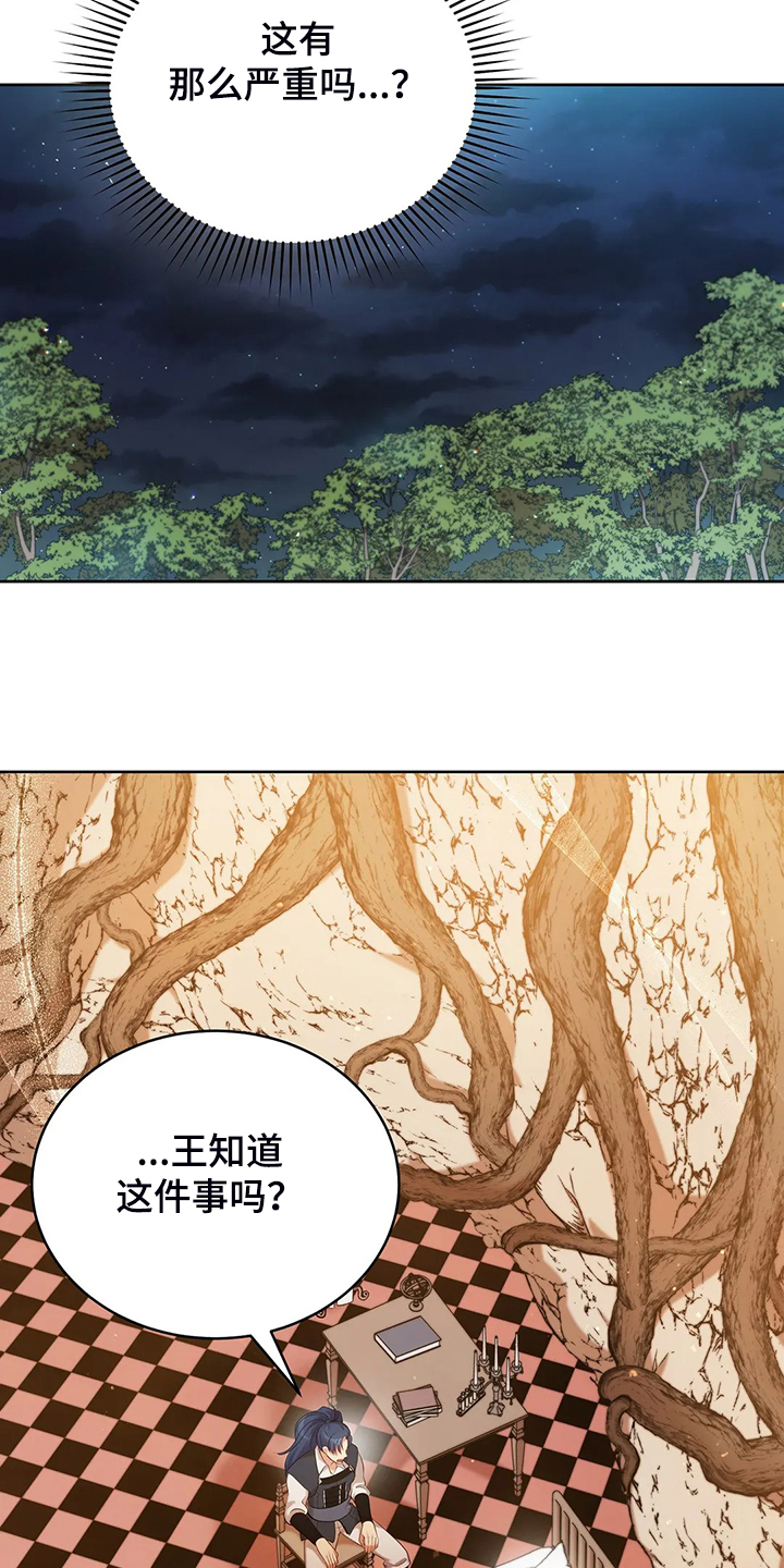 《黄昏的世界》漫画最新章节第22章：怀孕了免费下拉式在线观看章节第【14】张图片