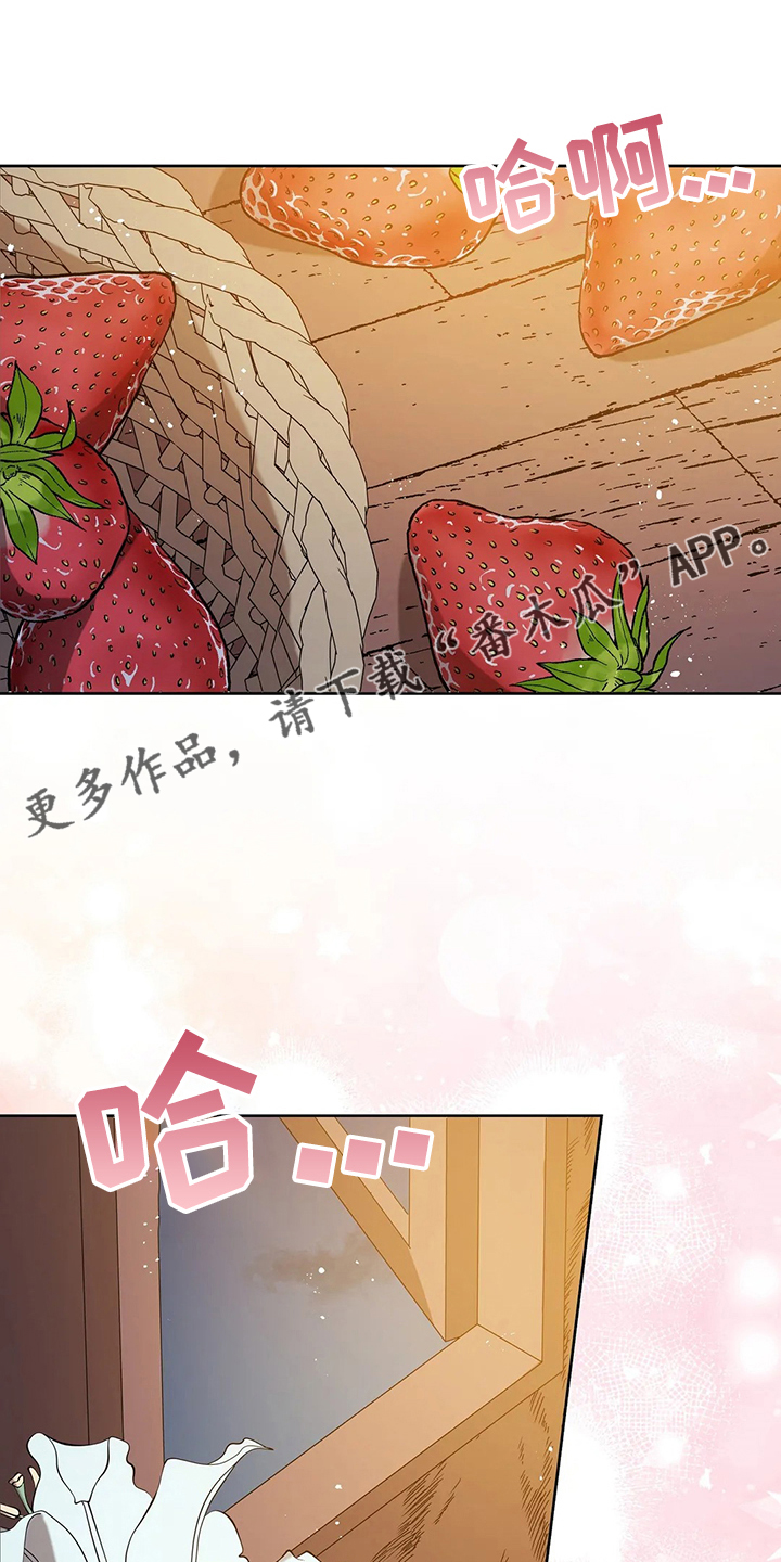 《黄昏的世界》漫画最新章节第40章：精灵界碎片免费下拉式在线观看章节第【30】张图片