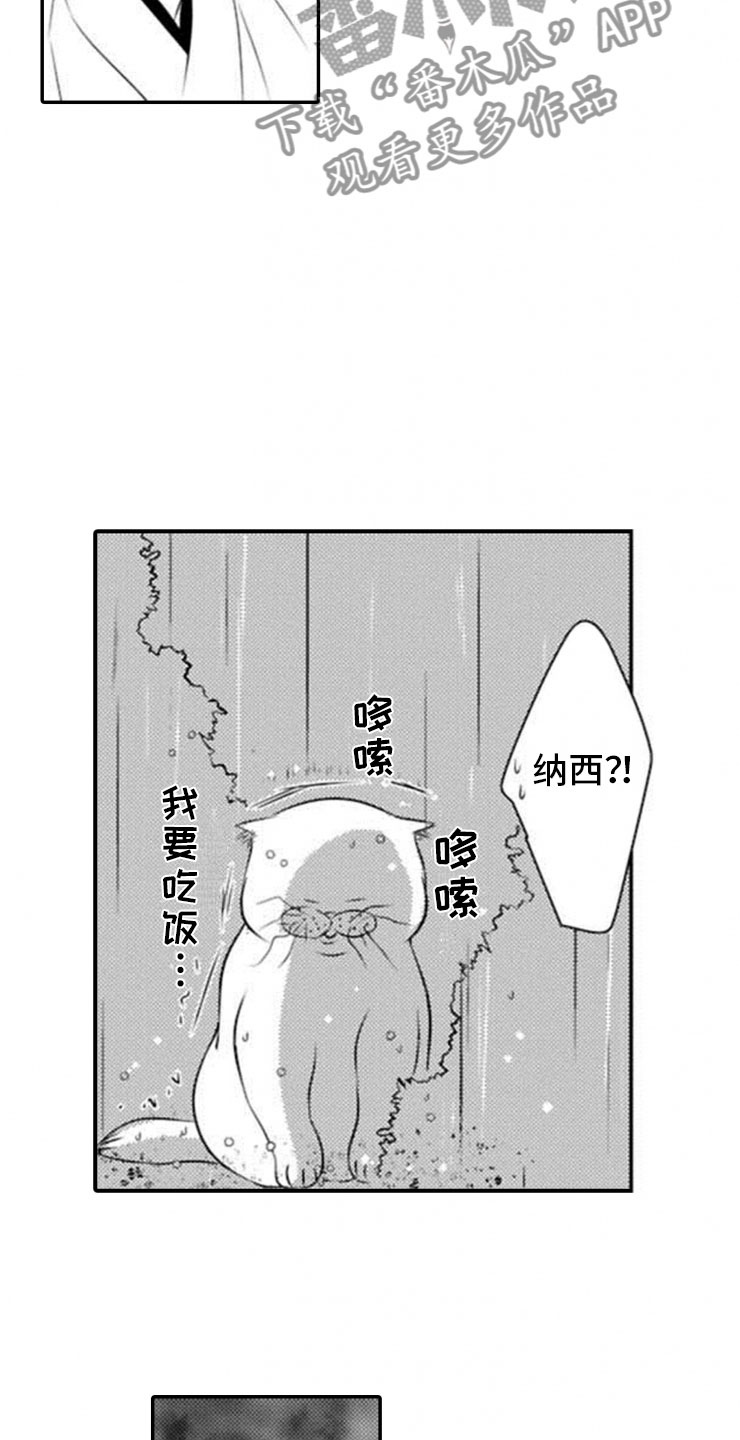 《龙王祭品》漫画最新章节第19章：雷雨免费下拉式在线观看章节第【12】张图片