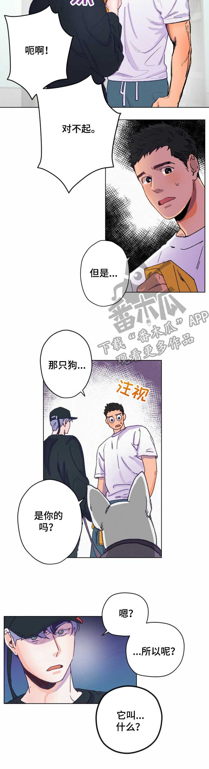 《乡野旋律》漫画最新章节第4章：误会免费下拉式在线观看章节第【8】张图片