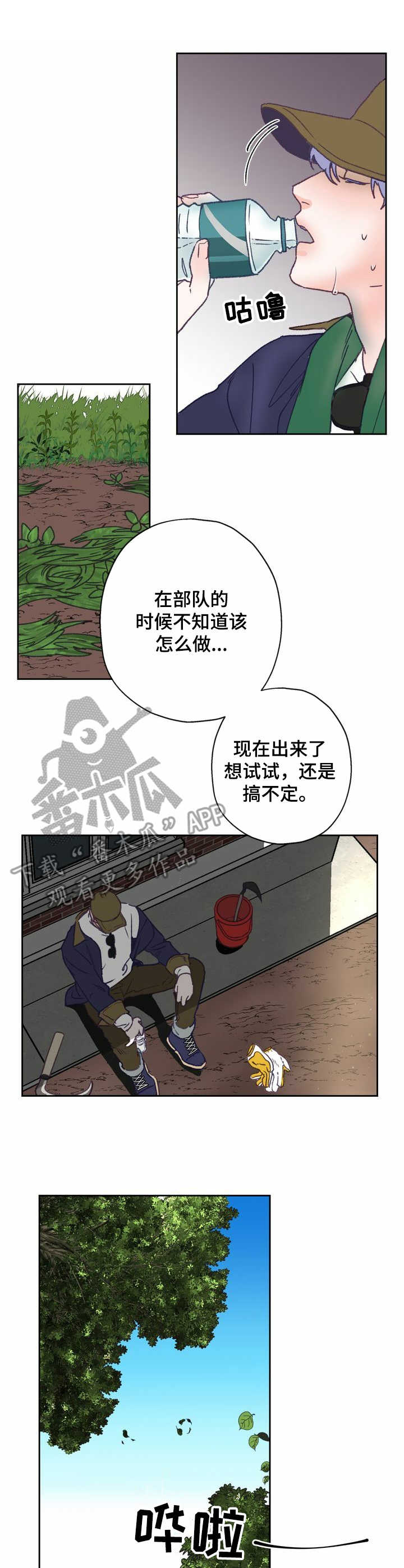 《乡野旋律》漫画最新章节第8章：除草免费下拉式在线观看章节第【8】张图片