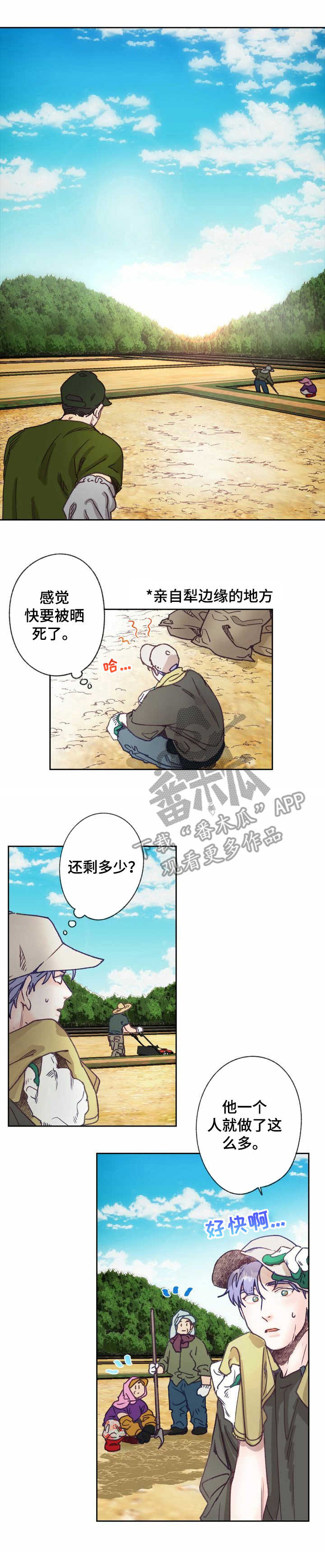 《乡野旋律》漫画最新章节第11章：农活免费下拉式在线观看章节第【10】张图片