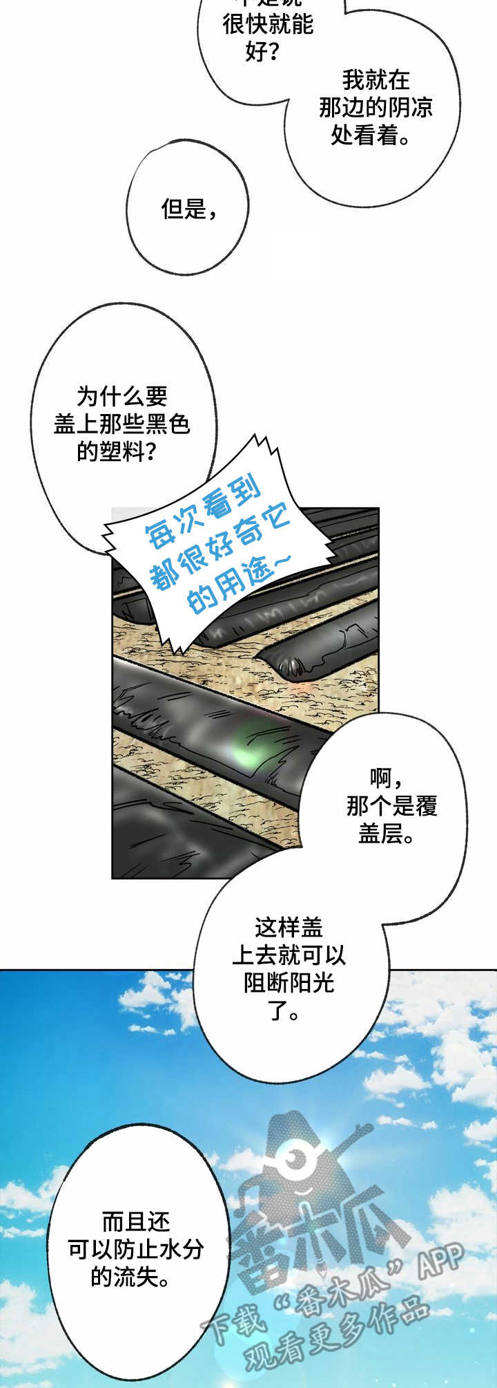 《乡野旋律》漫画最新章节第12章：面条免费下拉式在线观看章节第【4】张图片