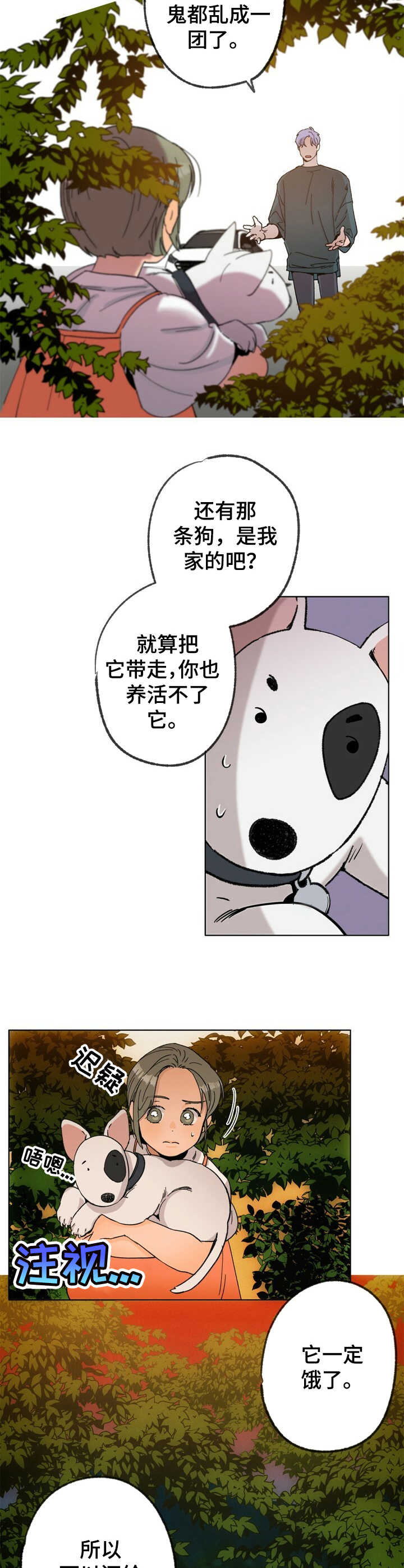 《乡野旋律》漫画最新章节第23章：逃跑免费下拉式在线观看章节第【6】张图片