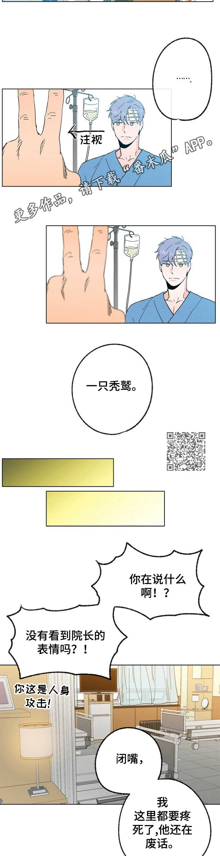 《乡野旋律》漫画最新章节第30章：蒲公英免费下拉式在线观看章节第【6】张图片