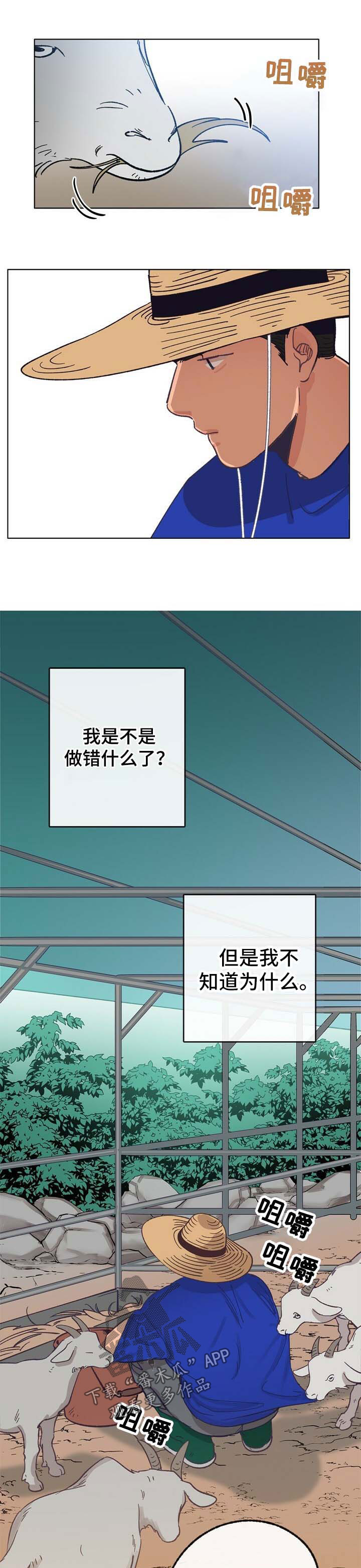 《乡野旋律》漫画最新章节第37章：检查免费下拉式在线观看章节第【4】张图片