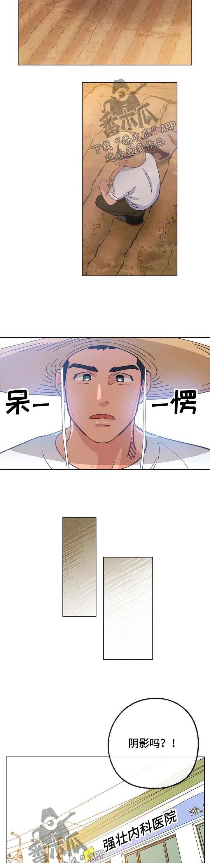 《乡野旋律》漫画最新章节第39章：这是爱免费下拉式在线观看章节第【11】张图片