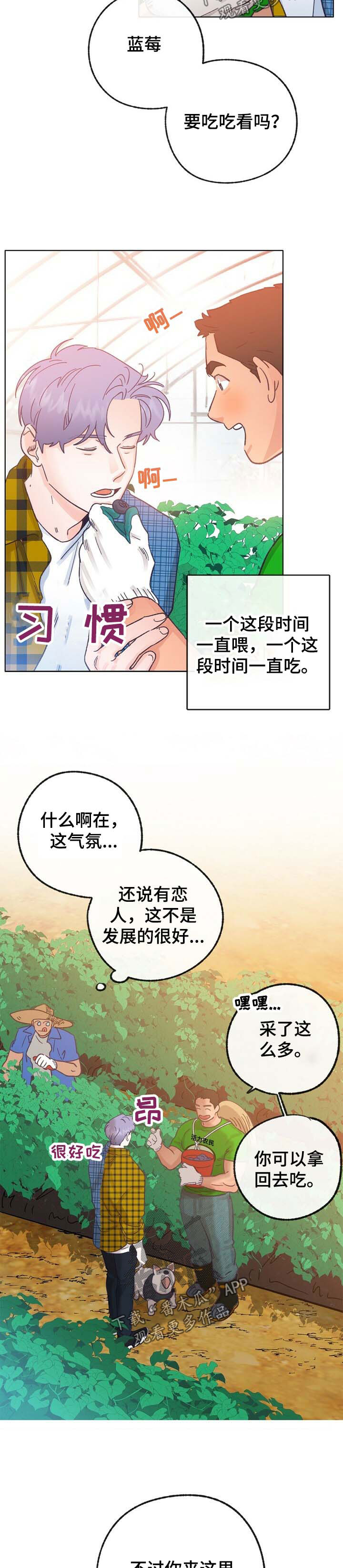 《乡野旋律》漫画最新章节第42章：来人免费下拉式在线观看章节第【6】张图片