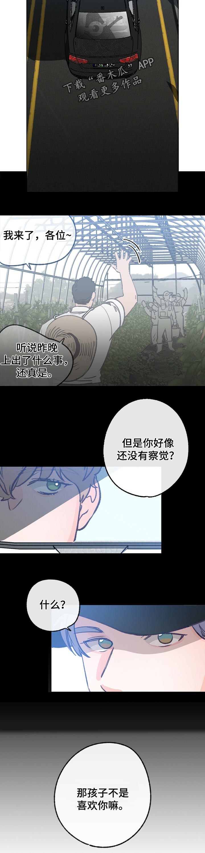 《乡野旋律》漫画最新章节第53章：复杂的感情免费下拉式在线观看章节第【2】张图片