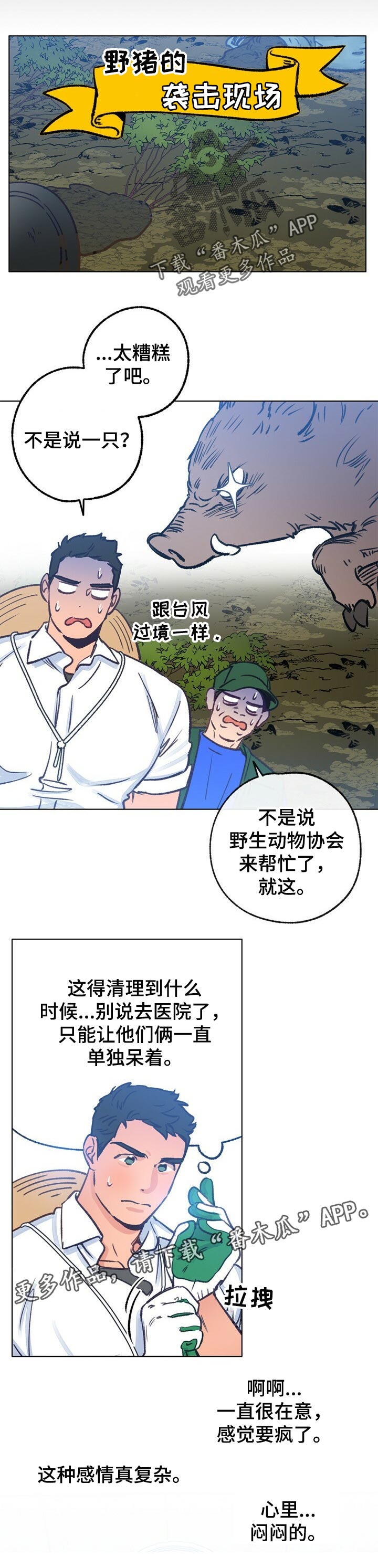 《乡野旋律》漫画最新章节第53章：复杂的感情免费下拉式在线观看章节第【1】张图片