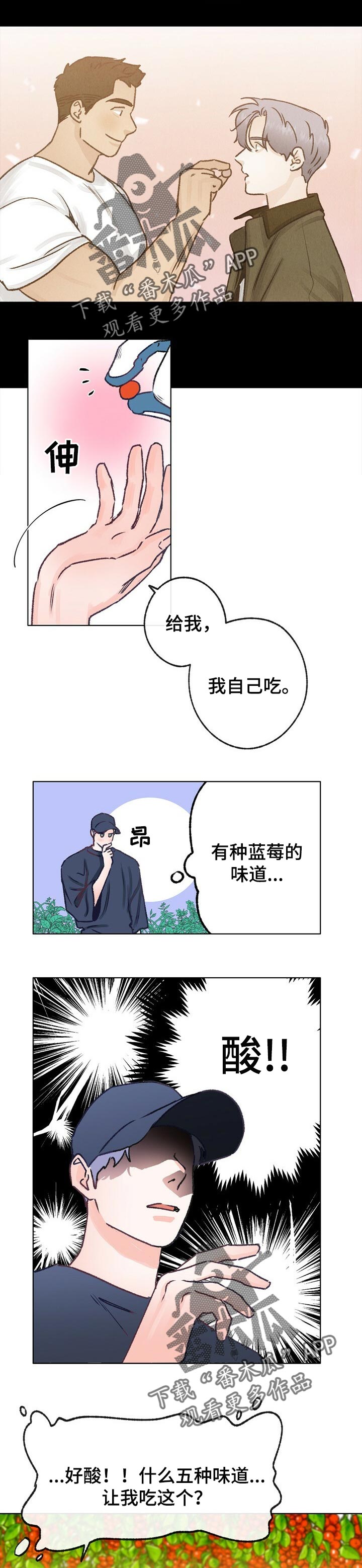 《乡野旋律》漫画最新章节第61章：散步免费下拉式在线观看章节第【6】张图片