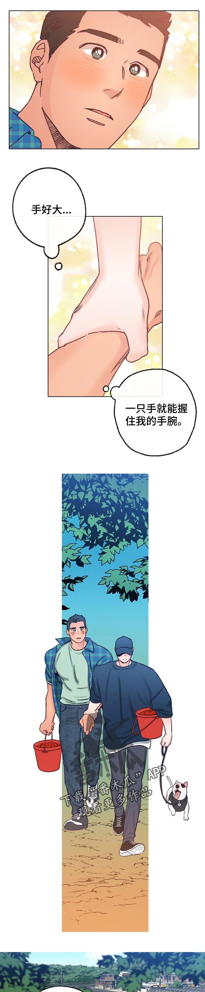 《乡野旋律》漫画最新章节第61章：散步免费下拉式在线观看章节第【2】张图片