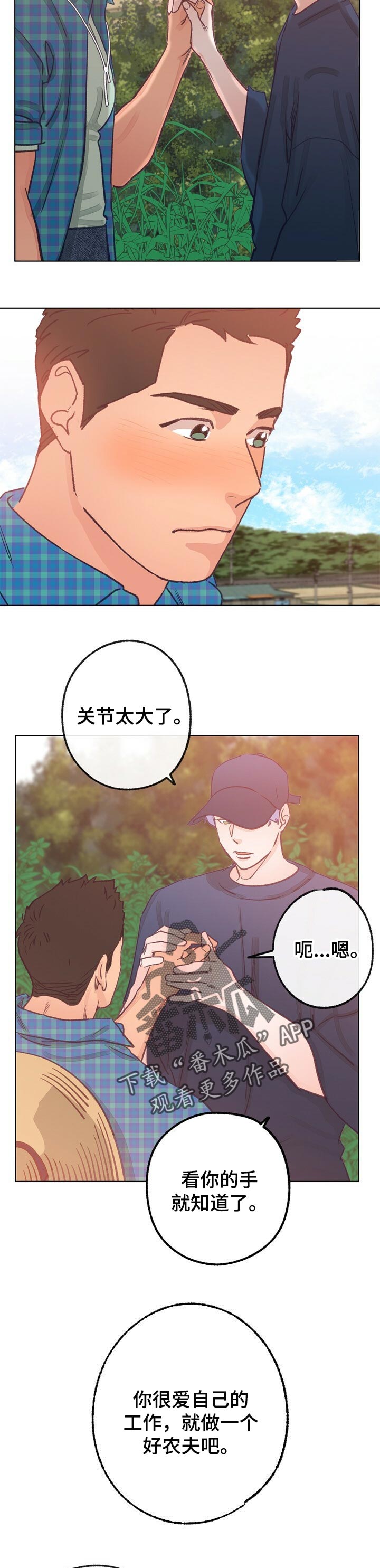 《乡野旋律》漫画最新章节第62章：弟弟免费下拉式在线观看章节第【10】张图片