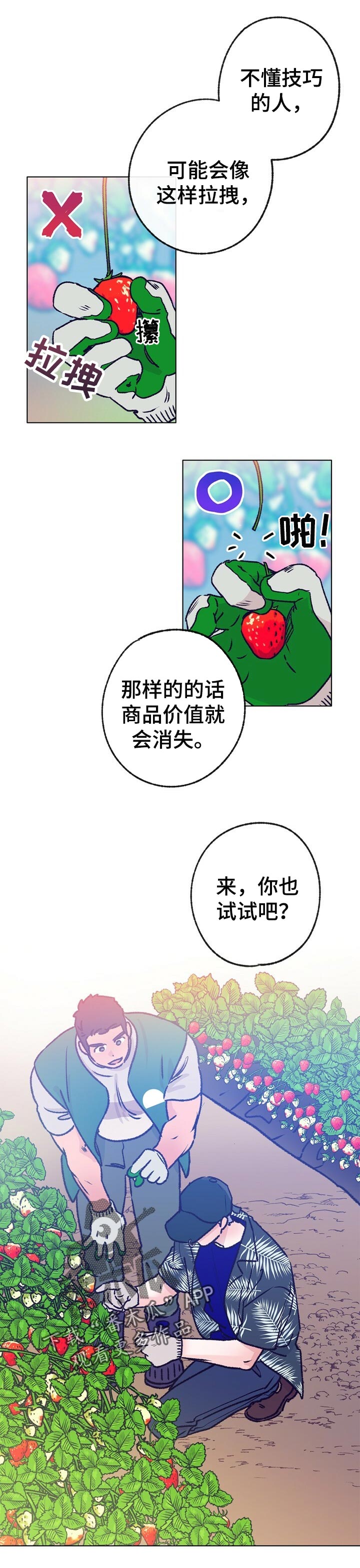 《乡野旋律》漫画最新章节第64章：摘草莓免费下拉式在线观看章节第【6】张图片