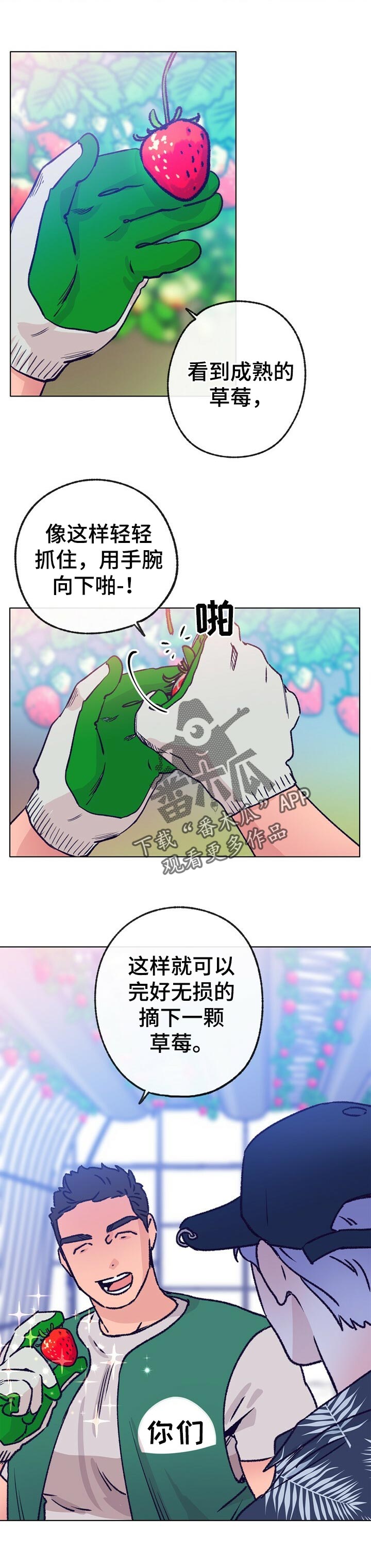 《乡野旋律》漫画最新章节第64章：摘草莓免费下拉式在线观看章节第【7】张图片