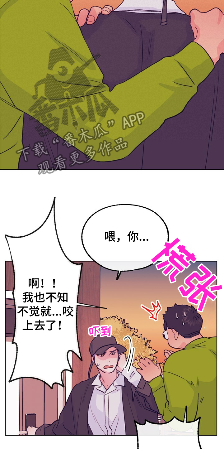 《乡野旋律》漫画最新章节第124章：【第二季】抱歉没给你答案免费下拉式在线观看章节第【11】张图片