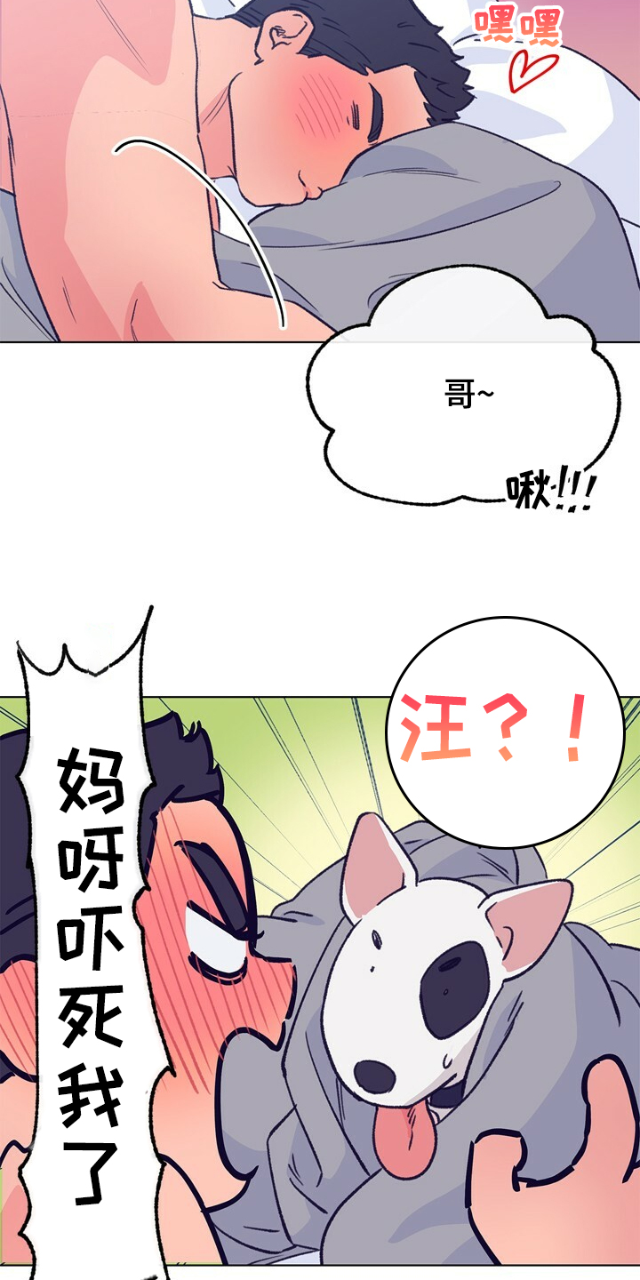 《乡野旋律》漫画最新章节第127章：【第二季】硕大的东植免费下拉式在线观看章节第【24】张图片