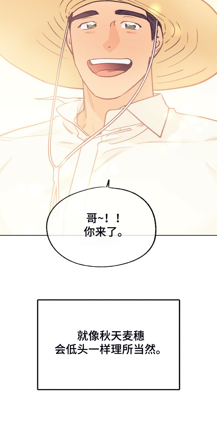 《乡野旋律》漫画最新章节第141章：【第二季】金色的田野免费下拉式在线观看章节第【20】张图片