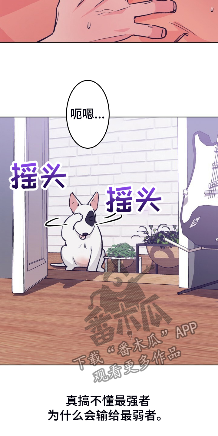 《乡野旋律》漫画最新章节第154章：【第二季】最强者免费下拉式在线观看章节第【2】张图片