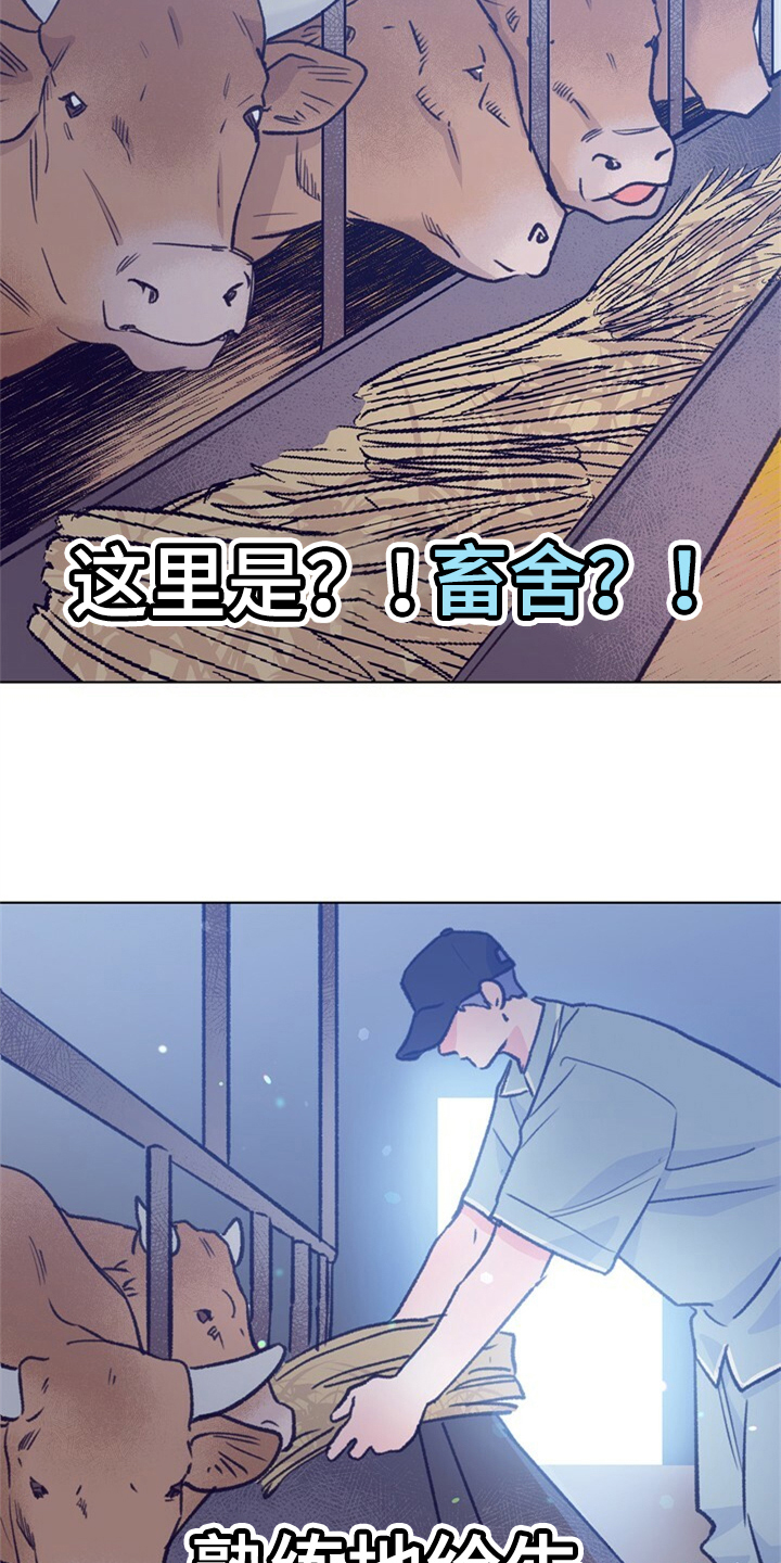 《乡野旋律》漫画最新章节第155章：【第二季】日常综艺免费下拉式在线观看章节第【18】张图片