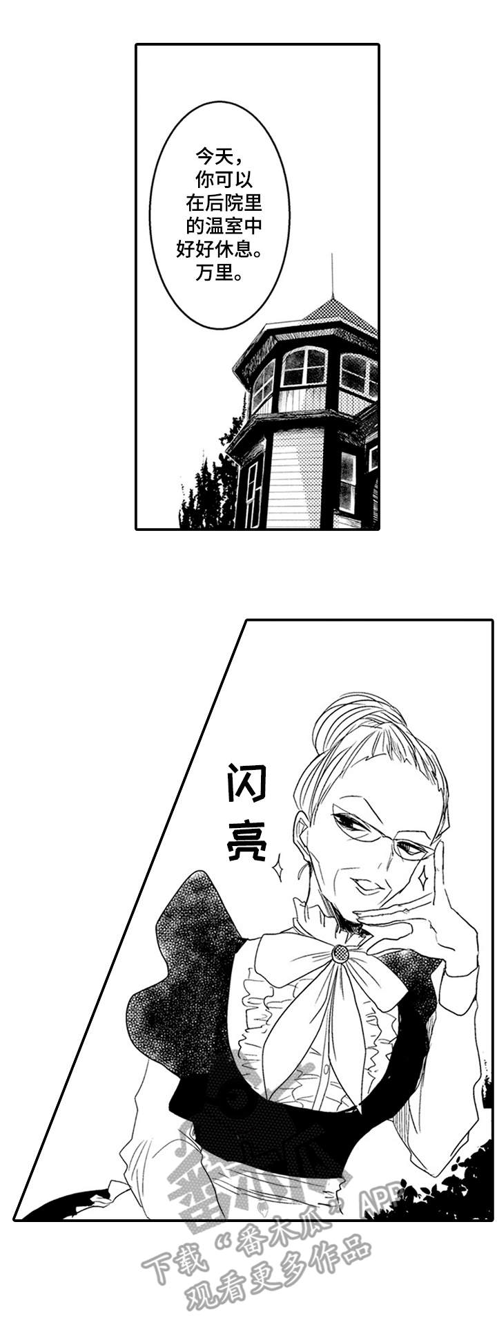 《恶意惩罚》漫画最新章节第11章：喜欢免费下拉式在线观看章节第【10】张图片