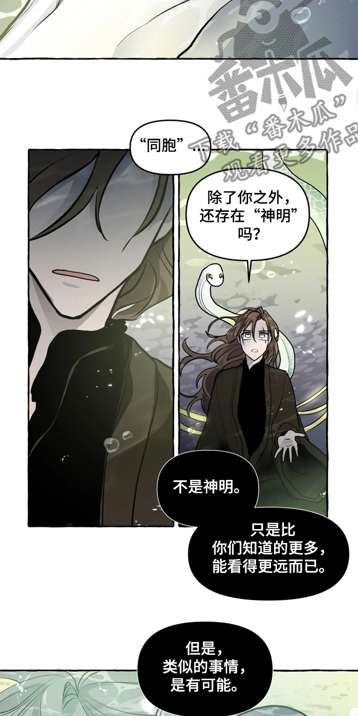 《神见人间》漫画最新章节第40章：生命的敬畏免费下拉式在线观看章节第【11】张图片