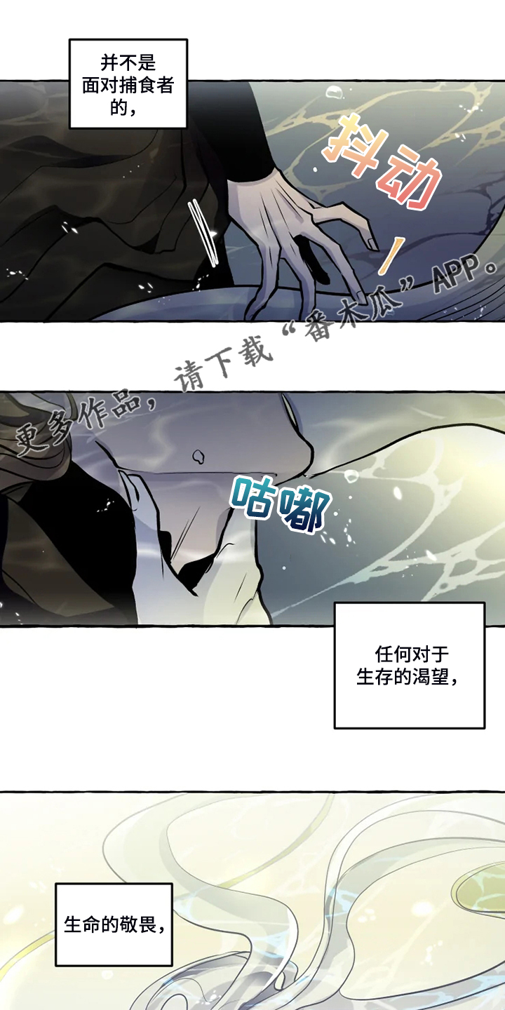 《神见人间》漫画最新章节第40章：生命的敬畏免费下拉式在线观看章节第【16】张图片