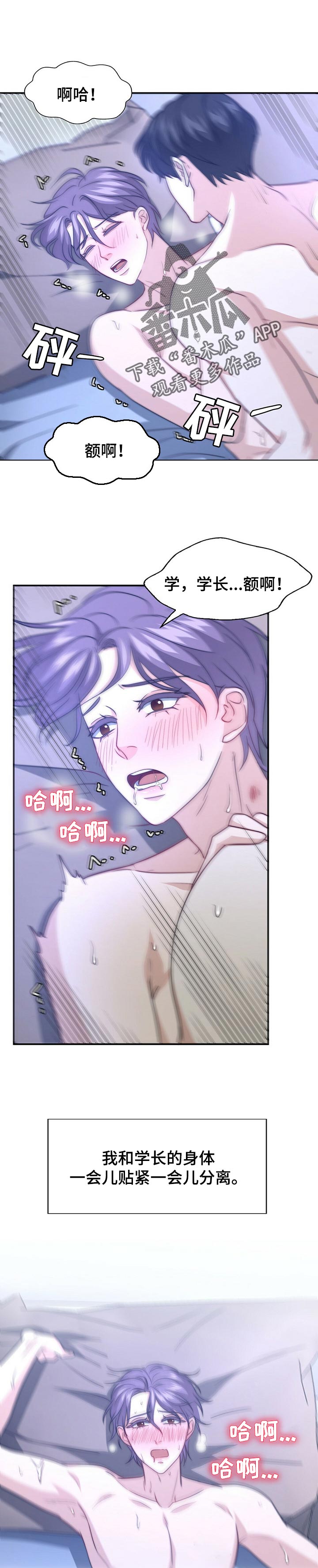 《秘密配对》漫画最新章节第75章：不躲了【完结】免费下拉式在线观看章节第【10】张图片