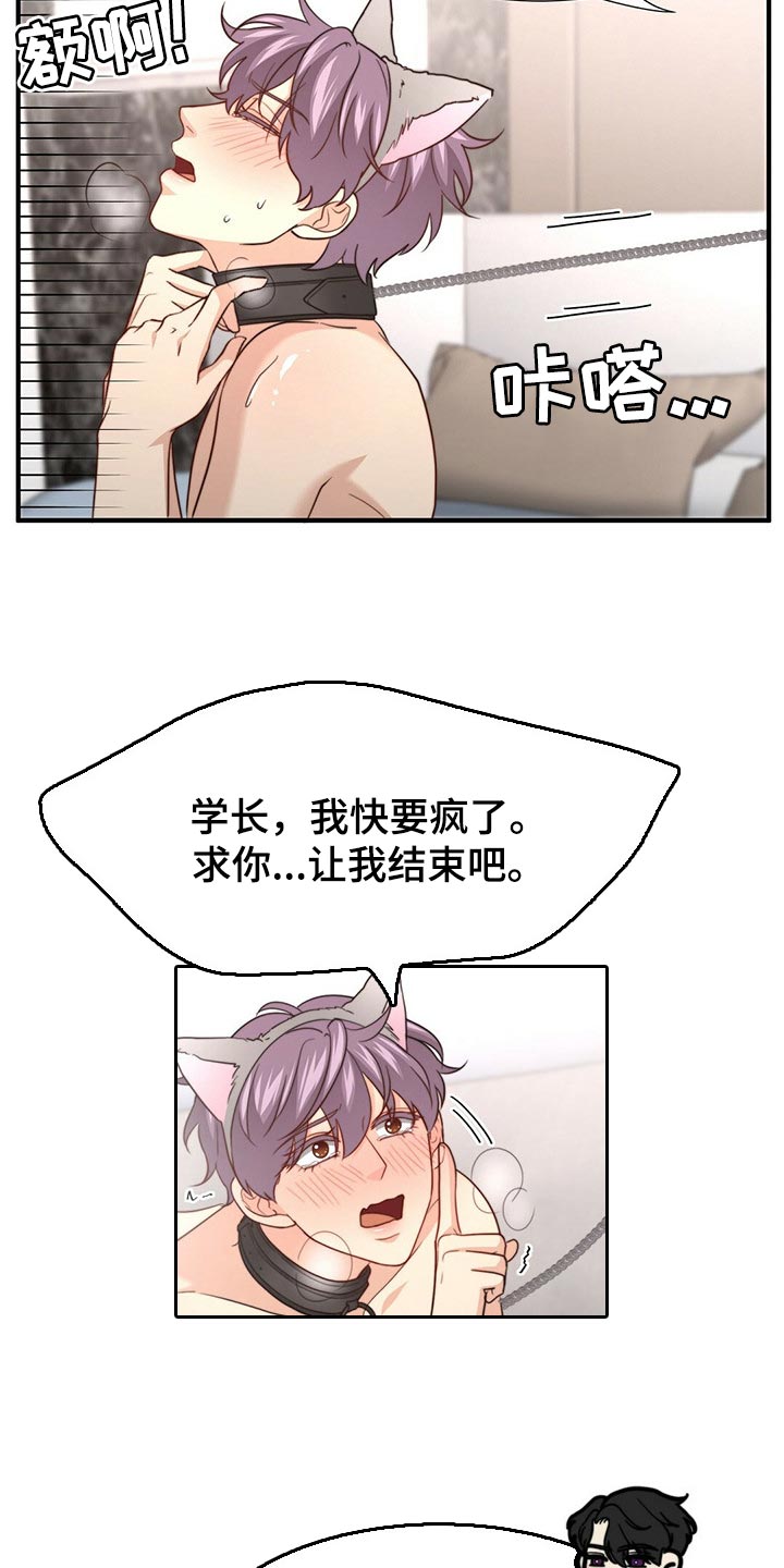 《秘密配对》漫画最新章节第109章：【第二季】我输了免费下拉式在线观看章节第【13】张图片