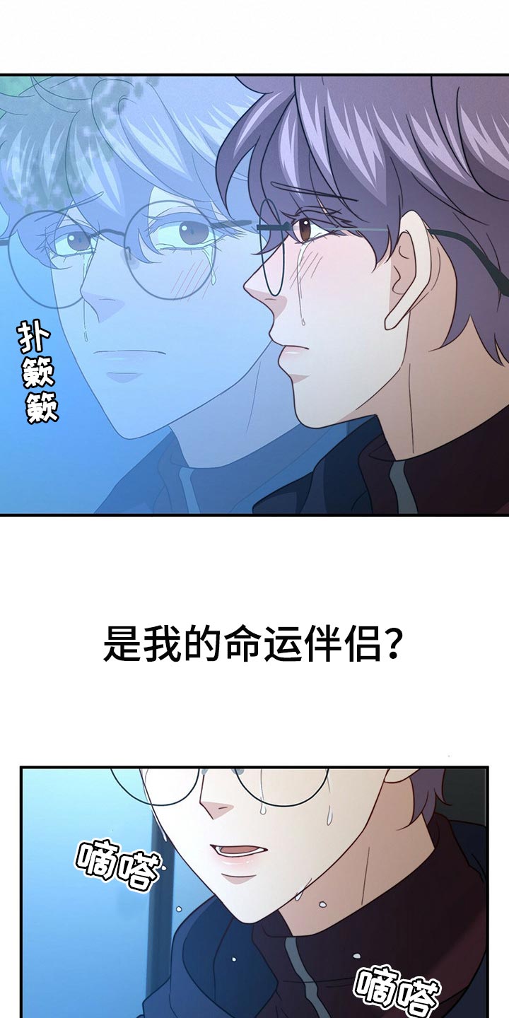 《秘密配对》漫画最新章节第121章：【第二季】命运的伴侣免费下拉式在线观看章节第【3】张图片