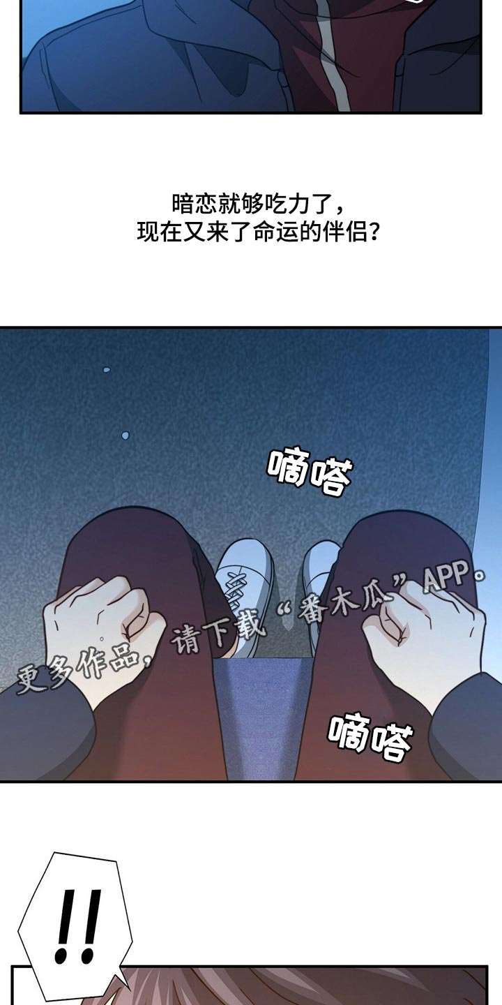 《秘密配对》漫画最新章节第121章：【第二季】命运的伴侣免费下拉式在线观看章节第【2】张图片