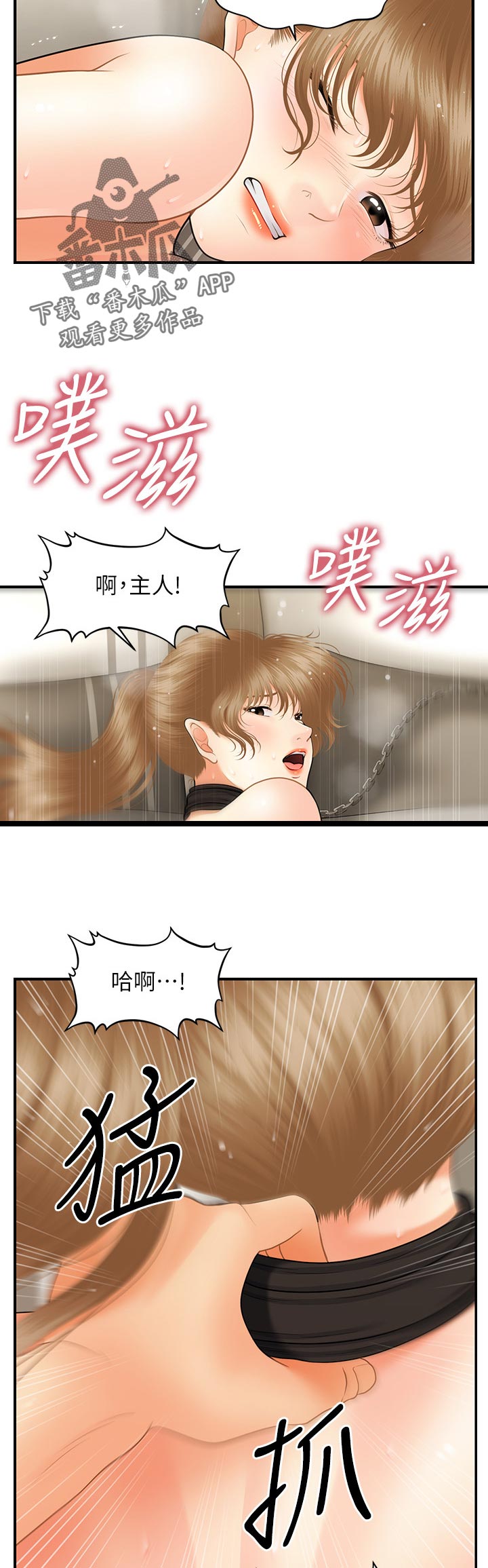 《整容奇迹》漫画最新章节第69章：主人免费下拉式在线观看章节第【4】张图片