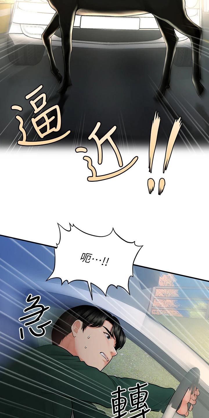 《整容奇迹》漫画最新章节第132章：车祸免费下拉式在线观看章节第【14】张图片