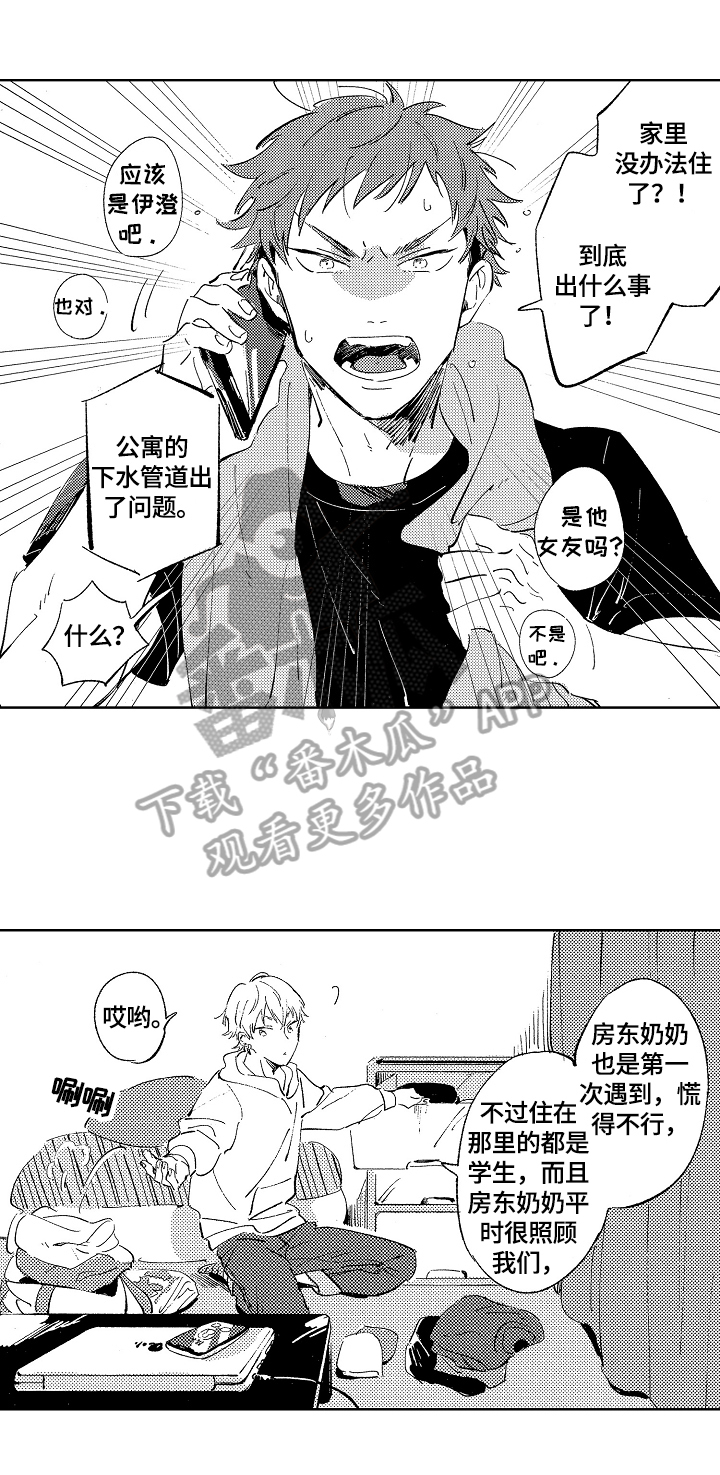 《糖与小狗》漫画最新章节第9章：借住免费下拉式在线观看章节第【8】张图片