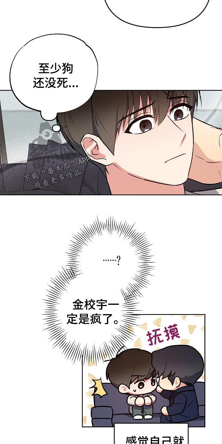 《歪打正着》漫画最新章节第33章：小狗免费下拉式在线观看章节第【3】张图片