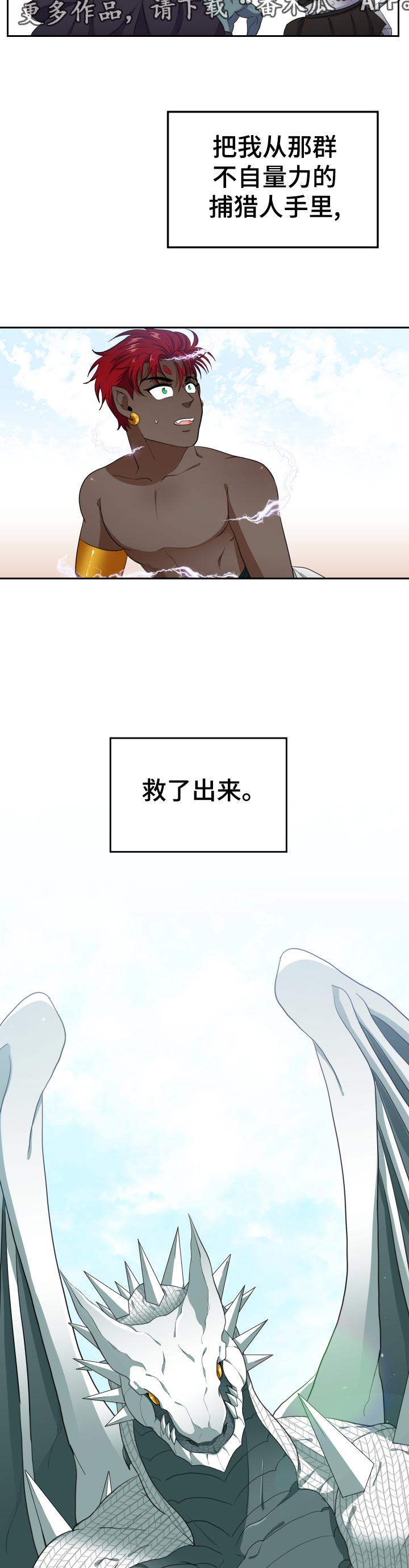 《龙的主人》漫画最新章节第50章：梦想免费下拉式在线观看章节第【8】张图片