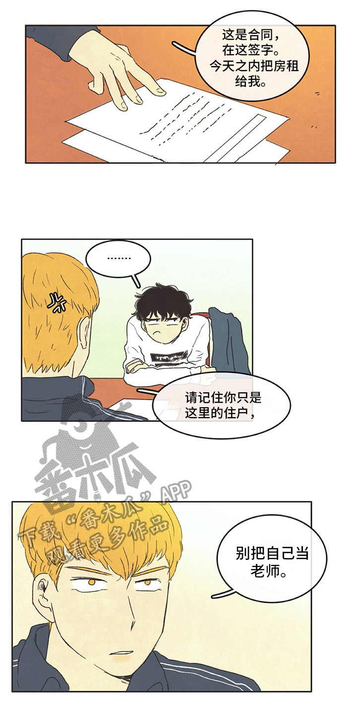 《同存简介》漫画最新章节第13章：打算免费下拉式在线观看章节第【7】张图片